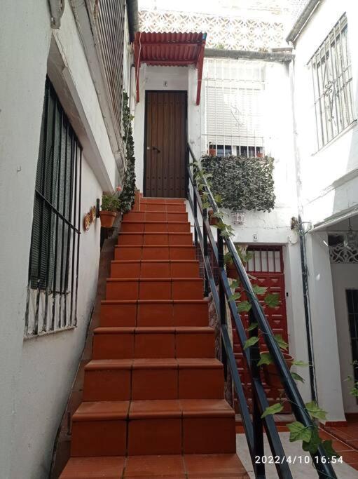 Ferienwohnung Precioso Loft En El Centro De Cordoba. Exterior foto